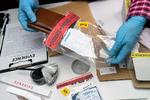 federal fraud investigation