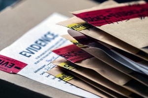 fraud evidence in criminal cases